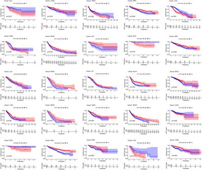 A comprehensive analysis and validation of cuproptosis-associated genes across cancers: Overall survival, the tumor microenvironment, stemness scores, and drug sensitivity